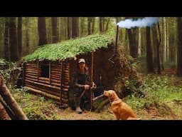 Build and Sleep Survival Shelter - Tree Root House Wilderness Cabin