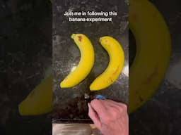 Scalar field banana experiment ##Experiment##Scalar#B#BananasB#BananaRipeningR#RipeBananas
