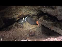 #57 ANYOX 3   EXPLORING, DARK, MUDDY, WET, OLD MINE TUNNELS!