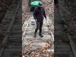 👋👋