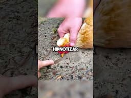 Respondiendo Preguntas Que NO Sabias Que Tenias🤯