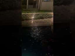 Night Swimming #shore