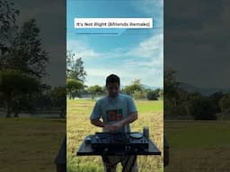 Another big remix! Do you like?