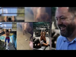 BRITS React to Dog's being Assholes!