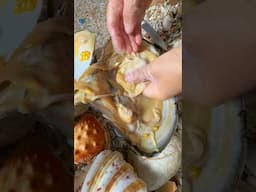 Sea Agate and Sea Crystal: Finding Hidden Treasures on the Shore and rare pearl