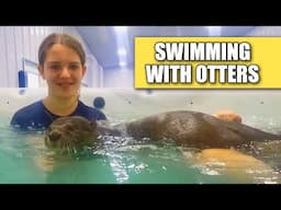 We Swam with Otters In Ohio