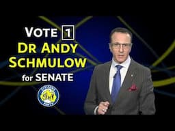 Andy Schmulow - NSW Senate - The big banks are bullies - 15s