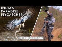 Filming India's BIRDS OF PARADISE - Part Of The Flock Ep.6 | Bird Photography in the Western Ghats
