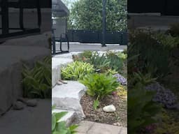 When ur trying 2 film ur #garden but ur #dogs video bomb. Nice roll, baby. 😆 #goldenretreiver