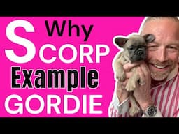 S-Corp Explained! Example of Tax Saved! Realtors®️ & Small Business Owners Can Save Big!
