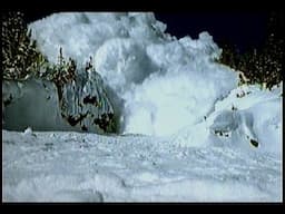 Buried Alive (Documentary)