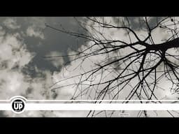 Söndörgő - from Hungary (Official Music Video)