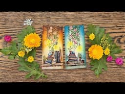 Delving into books and spells in a serene floral garden