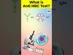 What if Anti-HBc is Reactive?