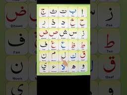 Alif Ba Ta Sa | Arabic letters for beginners | Learn Arabic alphabet for beginners #quran #arabic