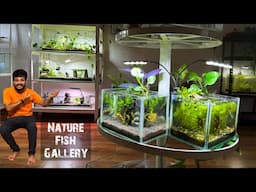Part 5 : Nature Fish Gallery/Fishing/TankSetup❤️Plants and Driftwood Collection