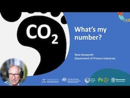 What’s my carbon number and how is it estimated?