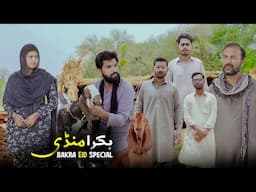 Bakra Mandi 2025 | Gareeb ki Bakra Eid | Bwp Production