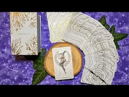 Ephemere Tarot Cards || Tarot and Oracle Card Reviews