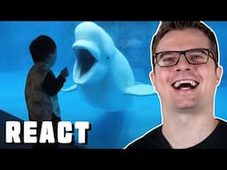 Tiere + Kinder = zu LUSTiG 🤣  Pulled Over for Eating and Driving - React