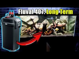Fluval 407 Canister Filter Long Term Review
