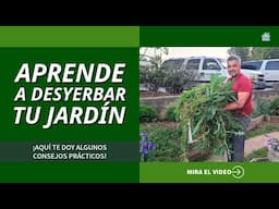 ¡Cómo se desyerba el jardín! #DIY