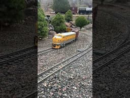 #triviatuesday #shorts at the Colorado Railroad Museum - Rocky Mountain Train Show Edition 2025!