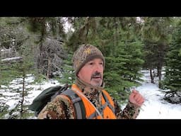 Elk Hunt in the High Country 2024