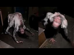 7 SCARY VIDEOS That Will Make You Feel LIKE SOMETHING IS WATCHING YOU