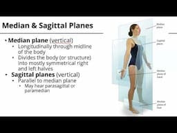 M1_S1_AnatomicalPlanes