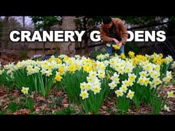 Spring Into Relaxation: Flower Gardening Tips & Tasks
