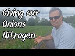 Giving Our Onions Nitrogen
