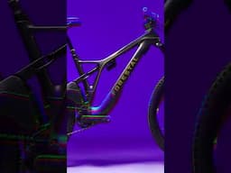 Wrapped vs. Unwrapped Frame After 6 Months Riding