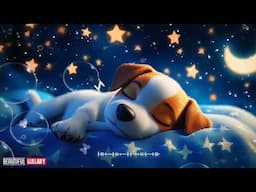 10 Hours Baby Sleep Music ♥ Mozart Lullaby for Deep Sleep ♫ Lullaby for Babies To Go To Sleep #1013