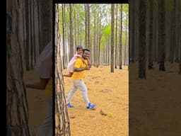 Netrahat ll Pine forest ll #shortvideo ##nagpurireels
