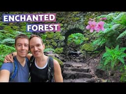 Deep in the mysterious jungle of La Palma (Canary Islands) | Trip to Cubo de la Galga