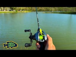 Mini Chatterbait BFS Fishing  UNCUT