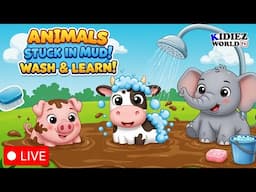 Animals Stuck in Mud! Wash and Learn Names Live for Kids