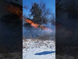 Good day for a brush pile to burn! #bonfire #missouri #fire