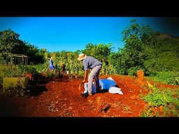 #30 Stones tried us. Building a homestead in rural Zimbabwe.