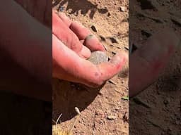 #metaldetecting #amazingfinds