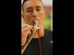 6th RTB Reptile Team | #shortsviral #army #military #shortsvideo #shortsfeed #soldier #short