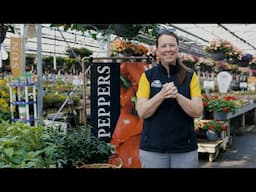 PETITTI Pepper Spotlight | Sweet to Spicy: How to Grow Peppers Successfully