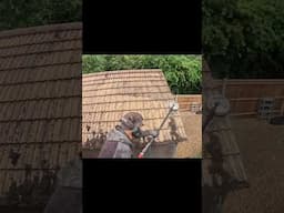 Why is This Roof Cleaning So Satisfying!? #jetwashing #satisfaction #clean
