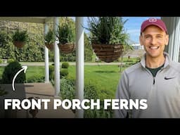 Putting Together My Front Porch Ferns for the Summer!