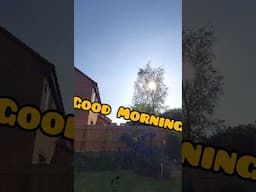 Good morning, guys