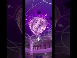 Disney Wish Cruise Ship Questions!?!