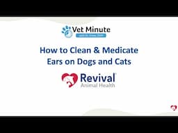 How to Safely Clean and Medicate Your Dog’s or Cat’s Ears