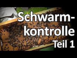 Schwarmkontrolle: Bienen-Durchsicht mit Überraschung Teil 1 Dunkle Biene und Ligustica Miniplus