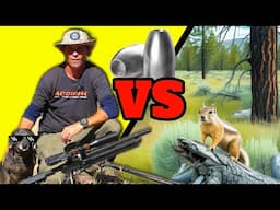 I Took an Expensive Airgun Camping to HUNT Squirrels Overnight!